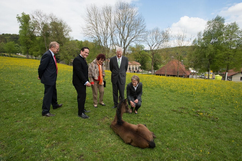 500 Jahre Haupt- und Landgestüt Marbach