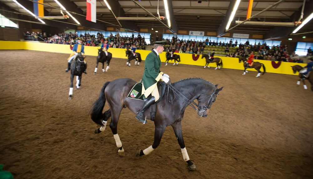 500 Jahre Haupt- und Landgestüt Marbach