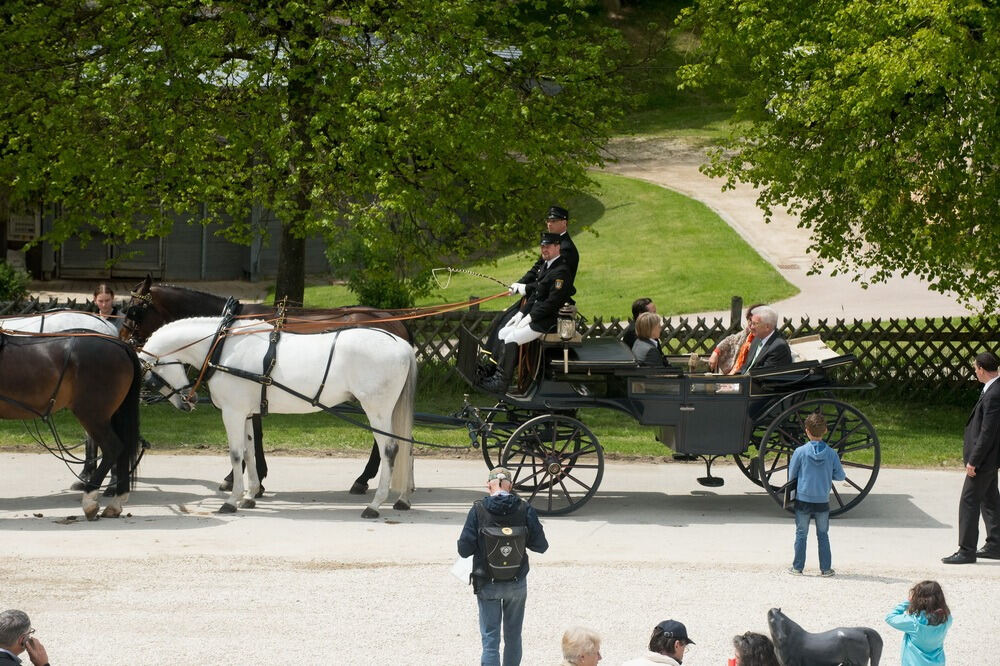 500 Jahre Haupt- und Landgestüt Marbach