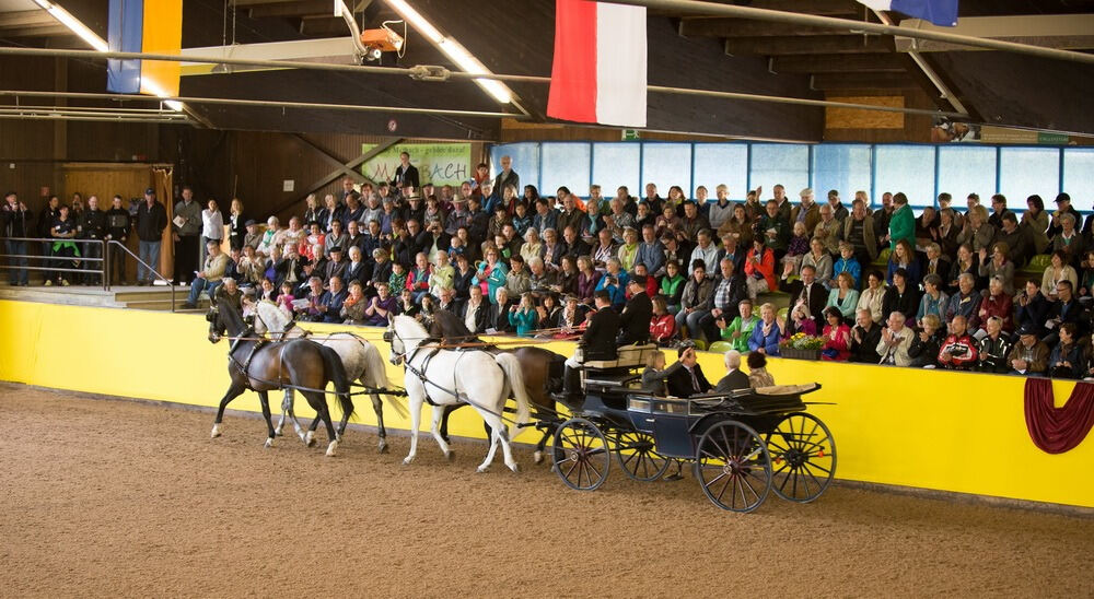 500 Jahre Haupt- und Landgestüt Marbach