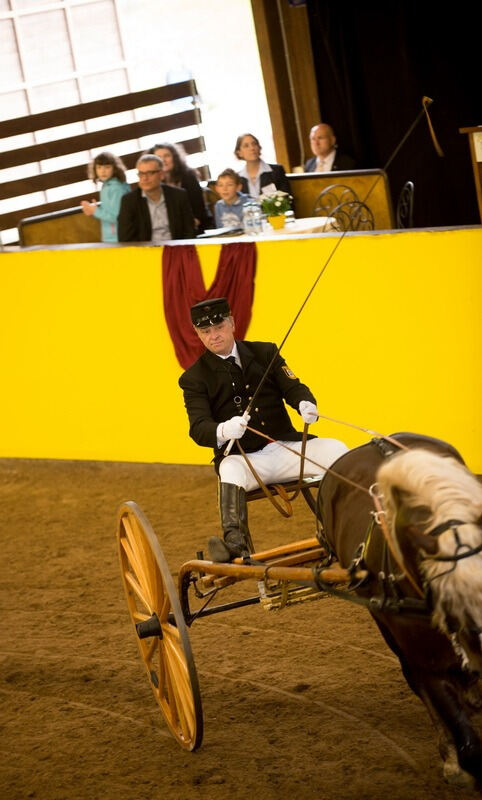 500 Jahre Haupt- und Landgestüt Marbach