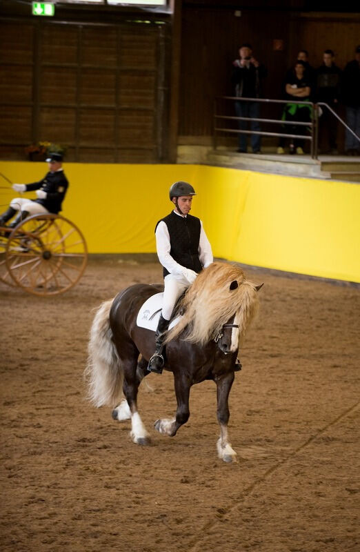 500 Jahre Haupt- und Landgestüt Marbach