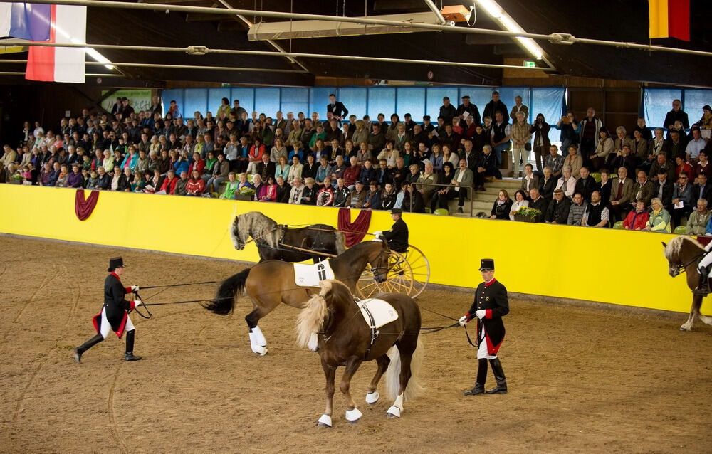 500 Jahre Haupt- und Landgestüt Marbach