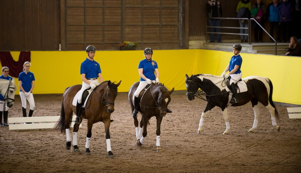500 Jahre Haupt- und Landgestüt Marbach