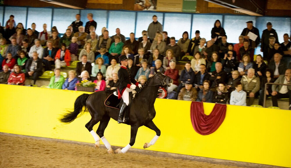 500 Jahre Haupt- und Landgestüt Marbach 500 Jahre Haupt- und Landgestüt Marbach