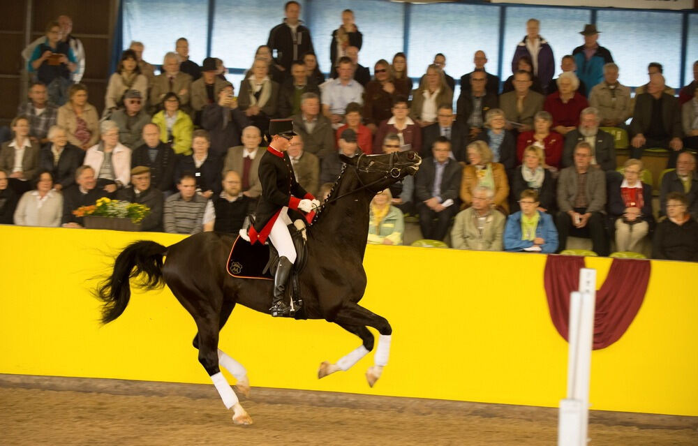 500 Jahre Haupt- und Landgestüt Marbach