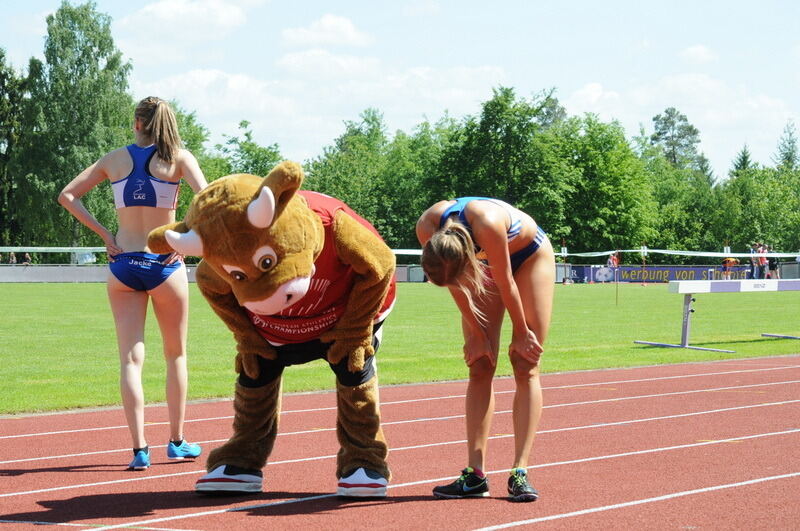Internationales Läufermeeting der krummen Strecken Pliezhausen 2014