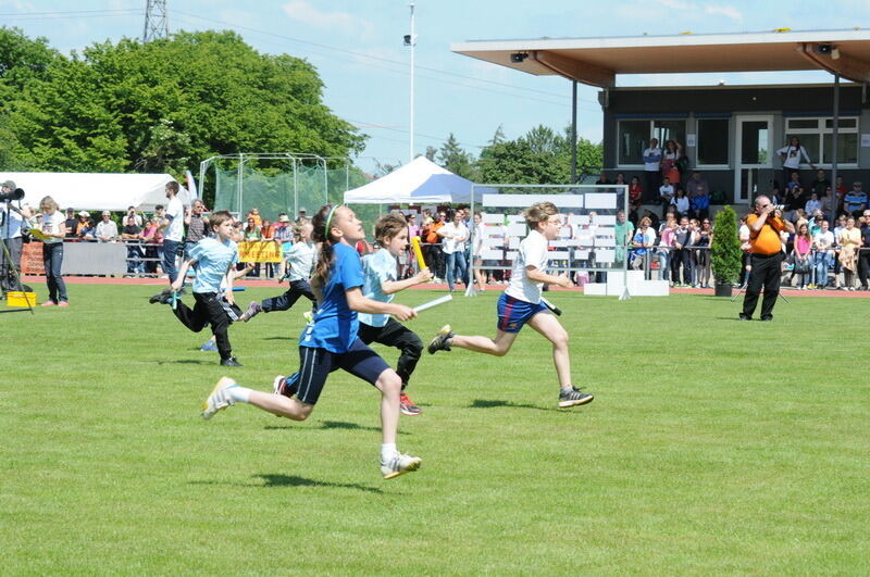 Internationales Läufermeeting der krummen Strecken Pliezhausen 2014