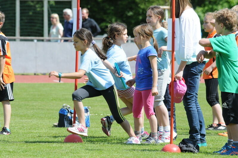 Internationales Läufermeeting der krummen Strecken Pliezhausen 2014
