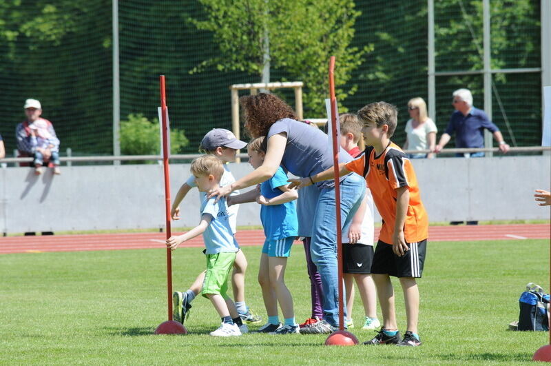 Internationales Läufermeeting der krummen Strecken Pliezhausen 2014