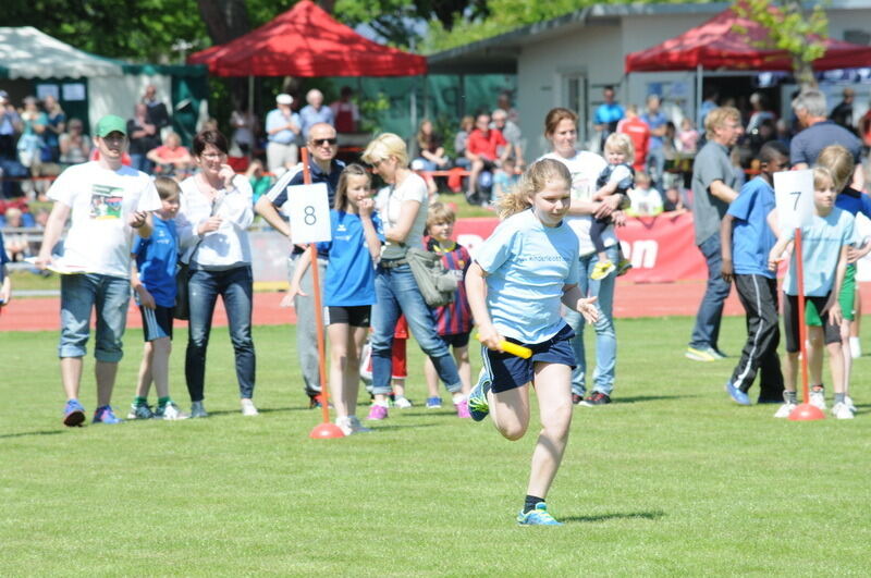 Internationales Läufermeeting der krummen Strecken Pliezhausen 2014