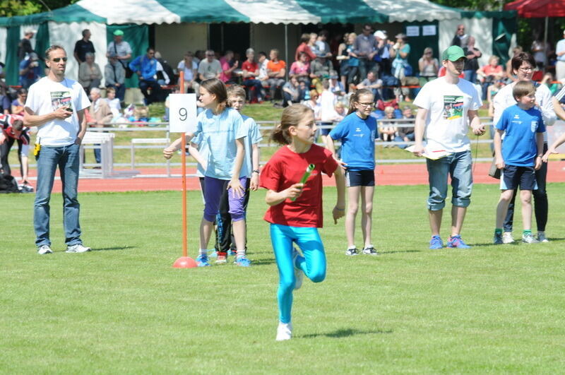 Internationales Läufermeeting der krummen Strecken Pliezhausen 2014