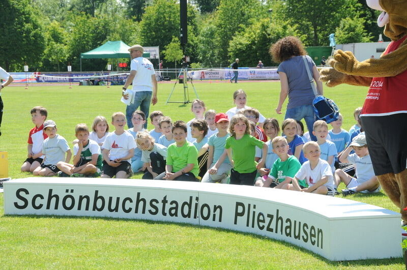 Internationales Läufermeeting der krummen Strecken Pliezhausen 2014