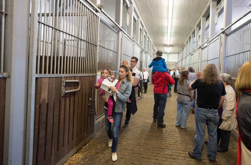 500 Jahre Haupt- und Landgestüt Marbach