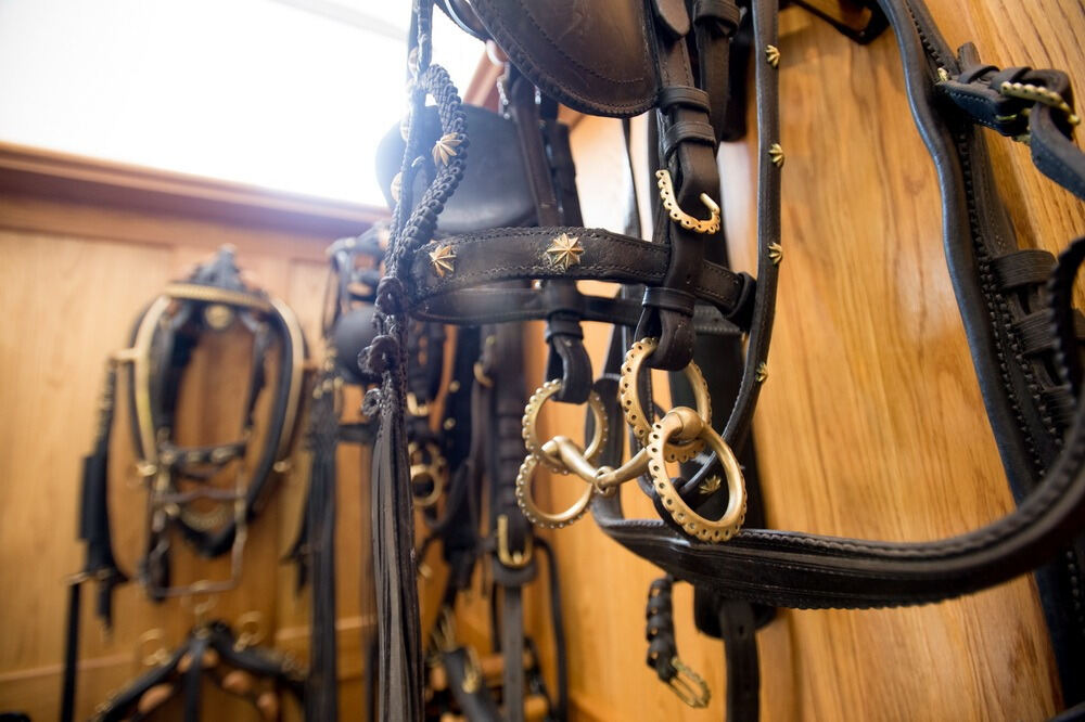 500 Jahre Haupt- und Landgestüt Marbach