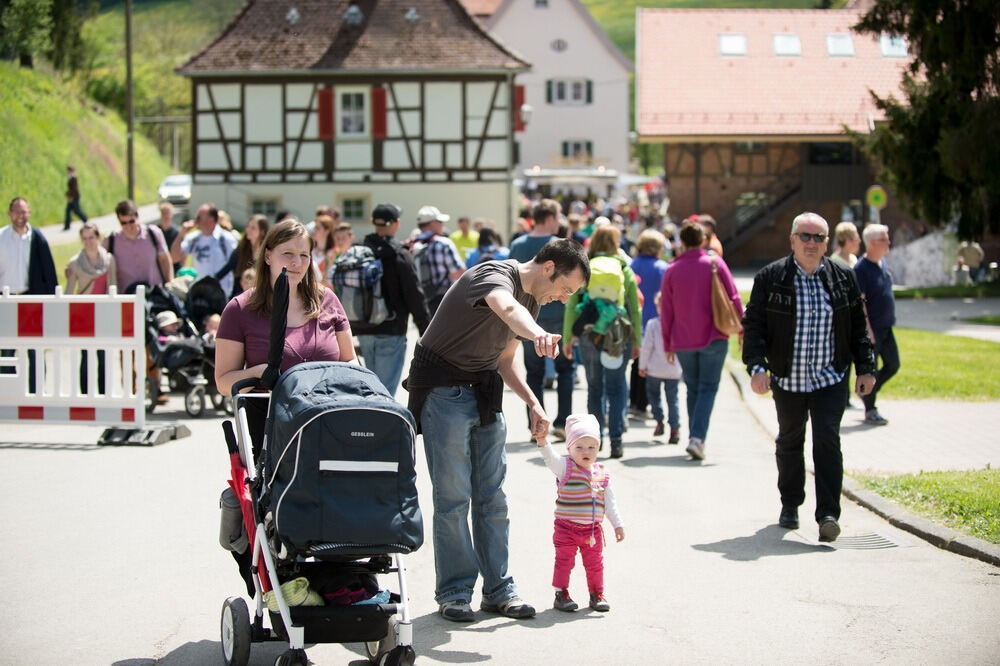 500 Jahre Haupt- und Landgestüt Marbach