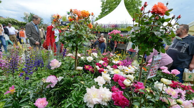 Garden Life Reutlingen 2014