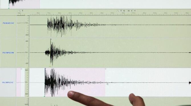 Ein Seismograph zeichnet Erdstöße auf. Foto: Rolex Dela Pena