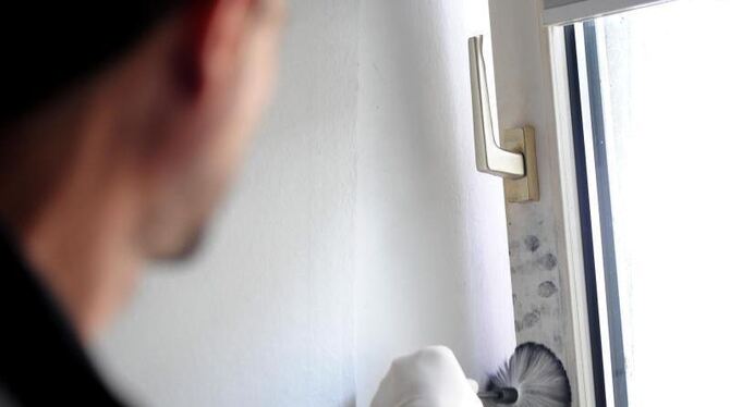Ein Kriminaltechniker sichert Fingerabdrücke an einem Fenster. Foto: Julian Stratenschulte/Symbol Ein Kriminaltechniker sichert Fingerabdrücke an einem Fenster. Foto: Julian Stratenschulte/Symbol