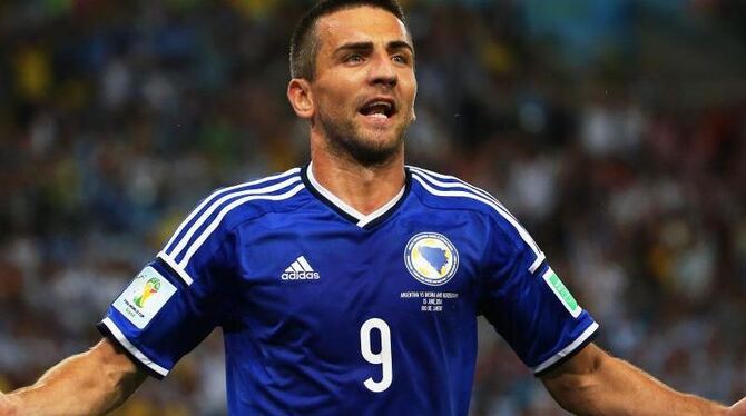 Vedad Ibisevic erzielt das erste bosnische Tor bei einer WM. Foto: Oliver Weiken