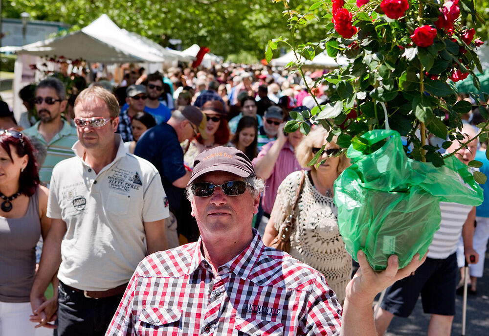 Rosenmarkt in Mössingen 2014