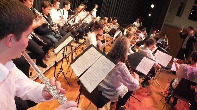 Das Orchester der Pliezhäuser Musikschule. GEA-ARCHIVFOTO: HEK