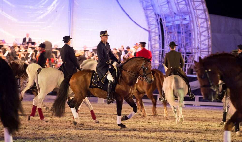 Marbach Classics 2014