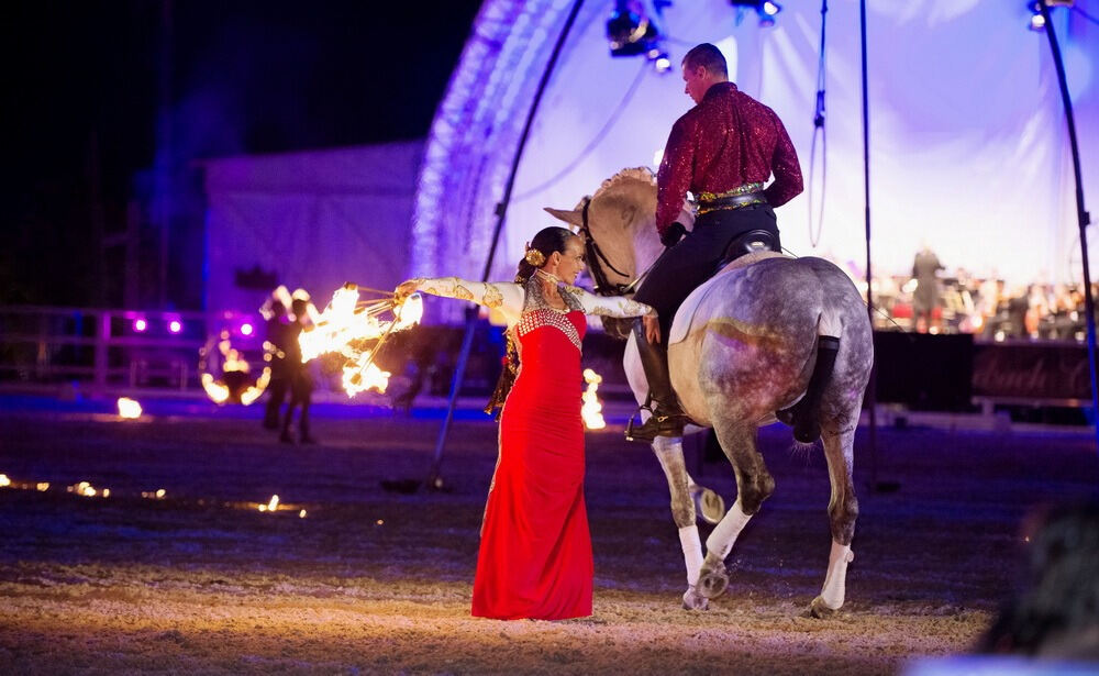 Marbach Classics 2014