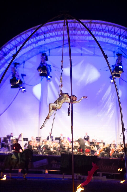 Marbach Classics 2014