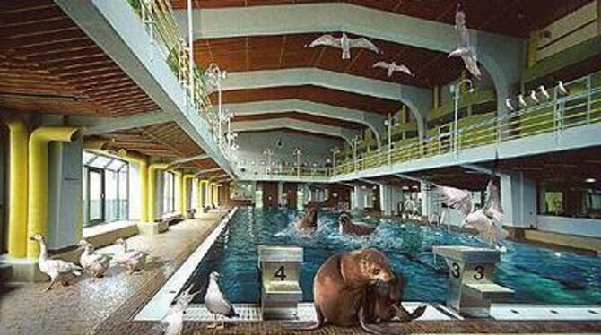 »Hallenbad der Tiere«: Mit diesem Foto hat Friedemann Rupp bei der Bundesfotoschau in Gelsenkirchen eine Goldmedaill