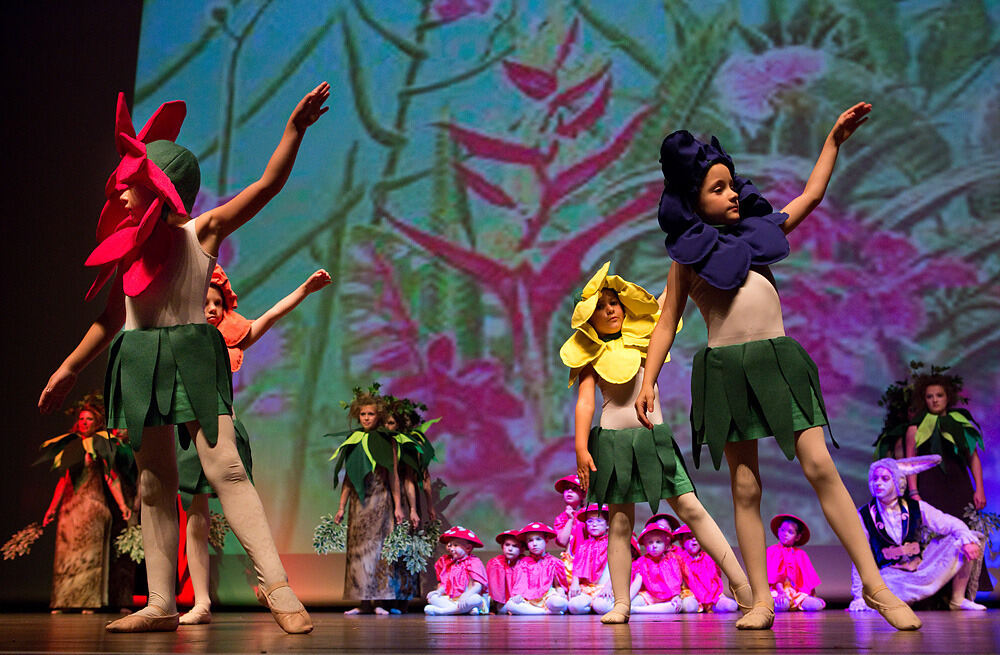 Alice und das Wunderland Tanzwerk Reutlingen