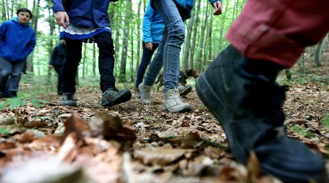 Die Schwäbische Alb ist ein herrliches Revier für alle, die gerne draußen aktiv sind. FOTO: WARNACK Die Schwäbische Alb ist ein herrliches Revier für alle, die gerne draußen aktiv sind. FOTO: WARNACK