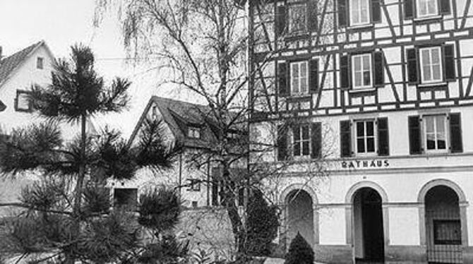 Tückisches Fachwerk: Rommelsbachs Rathausfassade sieht zwar hübsch aus, ist aber gefährlich. GEA-ARCHIV-FOTO: TRINKHAUS