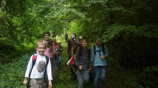 Hineinspaziert, hineinspaziert in den dunklen Tann – in Wannweil startet bald wieder die Waldwoche für Ferienkinder.  FOTO: PR