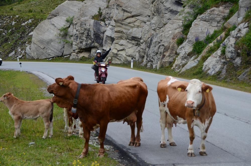 Mopedmarathon Sölden 2014