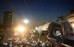 Rettungskräfte am Schauplatz des Mannheimer Zugunglücks.