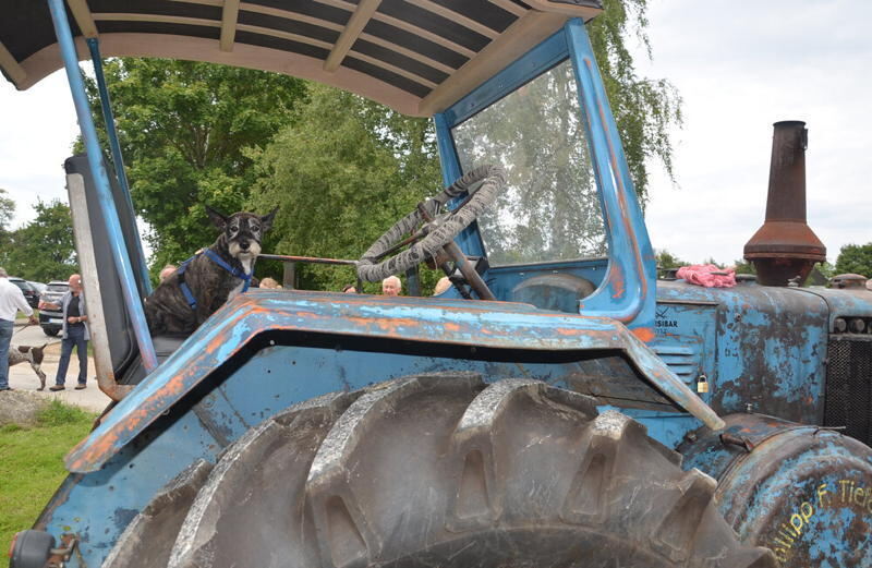 Oldtimertreffen Grafenberg August 2014