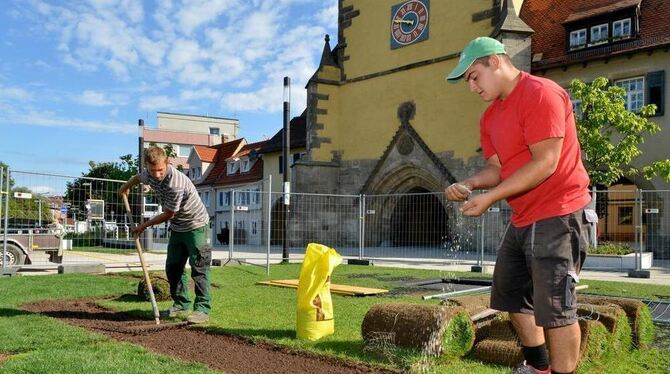 Rund um die Trampoline beim Tübinger Tor werden strapazierte Rasenabschnitte erneuert. FOTO: NIETHAMMER Rund um die Trampoline beim Tübinger Tor werden strapazierte Rasenabschnitte erneuert. FOTO: NIETHAMMER