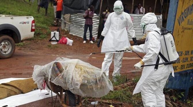 Es ist der schlimmste Ebola-Ausbruch, der je registriert wurde - und die Zahlen zu Krankheitsfällen und Opfern steigen weiter