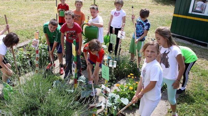 Zur Gartenarbeit müssen sie nicht getrieben werden: Die Schüler der Uhlandschule Neuhausen pflegen die kleinen Beete des Schulga