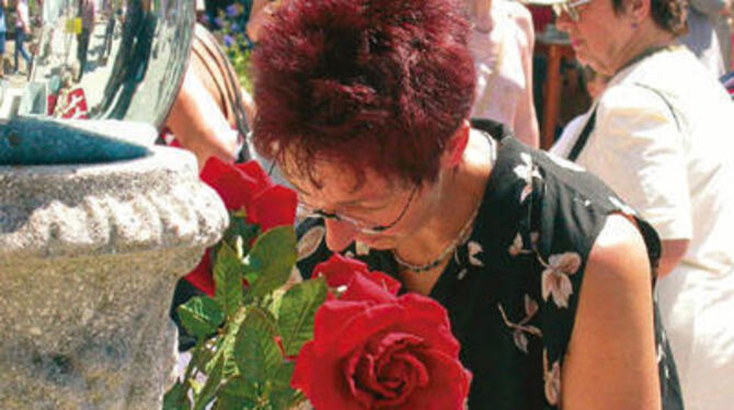 Eine Nase voll: Hingerissen waren die Damen, technisch interessiert die Herrn. Der Rosenmarkt lockte tausende Besucher.  GEA-FOT