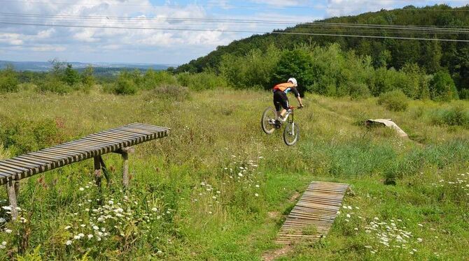 Nur die Freileitungen stören etwas die Biker-Idylle: Lennart Keck beim Sprung im Bikepark auf der Eichbergdeponie.  GEA-FOTO: BA