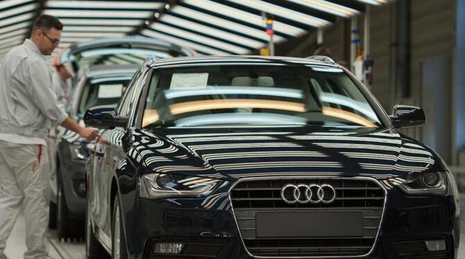 Schlimmstenfalls könne wegen des Fehlers ein wenig Öl in den Bremskraftverstärker gelangen, sagt Audi. Foto: Armin Weigel