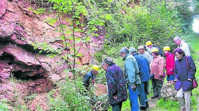 200 Jahre lang bauten die Böttinger hier ihr auffallendes Baumaterial ab. Am Sonntag, 21. September, haben Besucher Zutritt auf