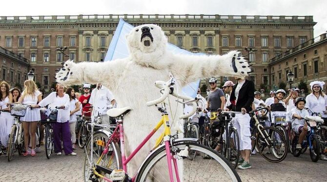 In vielen Ländern der Welt und auch in Münsingen organisiert Greenpeace am Samstag Fahrraddemos für die Arktis. FOTO: GREENPEACE