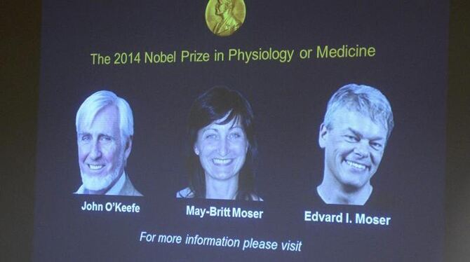 John O'́Keefe, May-Britt Moser und Edvard Moser werden mit dem Medizin-Nobelpreis geehrt. Foto: Bertil Ericson