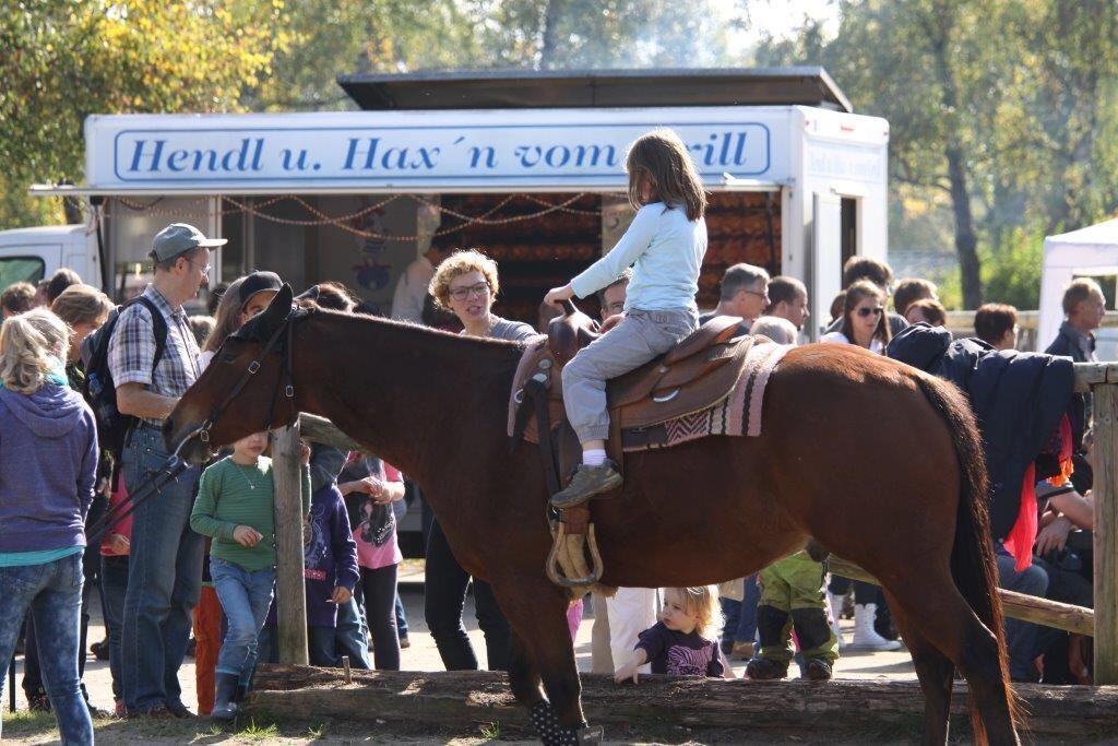 Fuhrmannstag Pliezhausen 2014