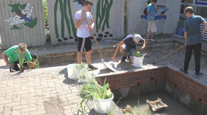Viele Hände waren beteiligt beim Anlegen weiterer Bereiche im Garten der Schönbein-Realschule.  FOTO: KOZJEK