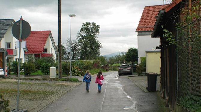 Die Tiergartenstraße in Degerschlacht. GEA-FOTO: DÖRR