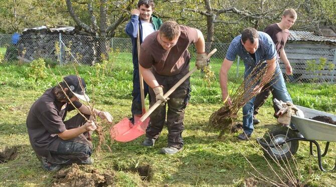 Die Grüngruppe in Aktion: Im Lehrgarten des Obst- und Gartenbauvereins Belsen wird angepflanzt. GEA-FOTO: MEYER Die Grüngruppe in Aktion: Im Lehrgarten des Obst- und Gartenbauvereins Belsen wird angepflanzt. GEA-FOTO: MEYER